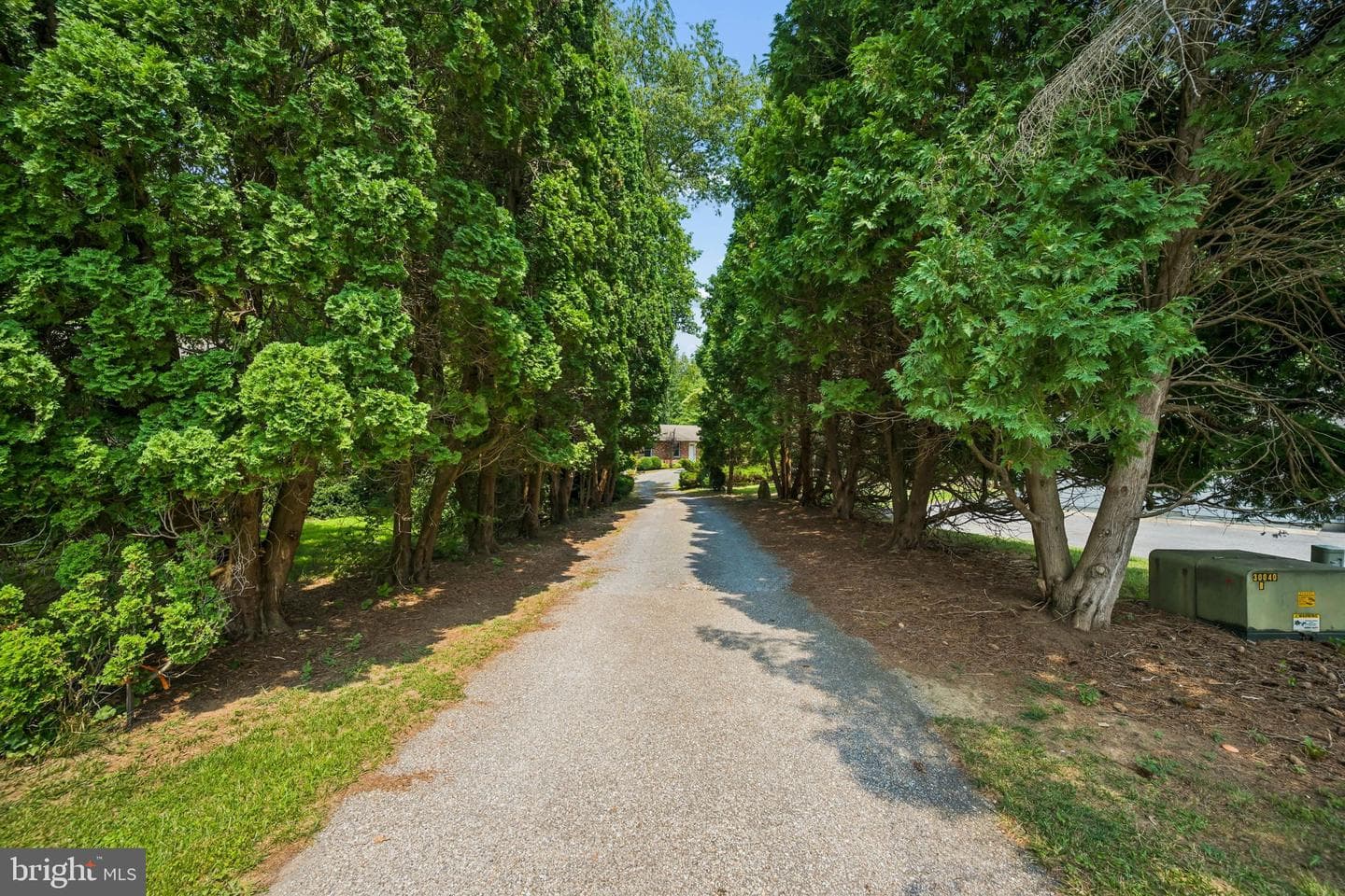1480 Algonquin Court photo 46