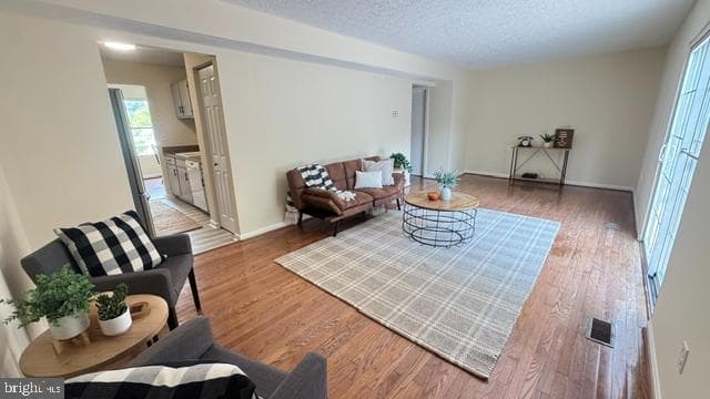 315 Stacy Lee Drive photo 11