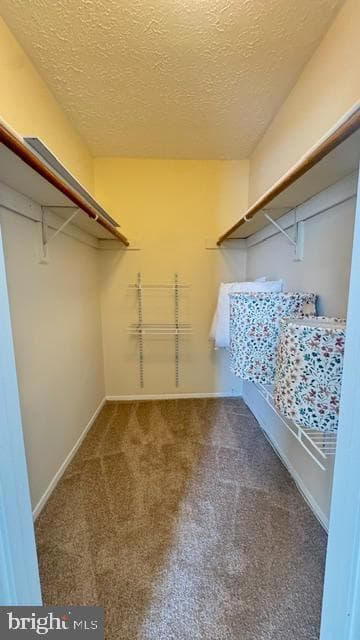 315 Stacy Lee Drive photo 24