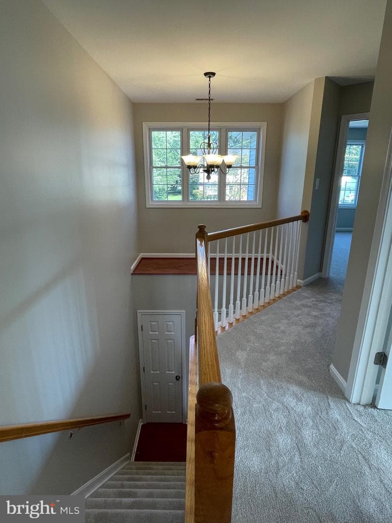 524 Locust Avenue photo 13