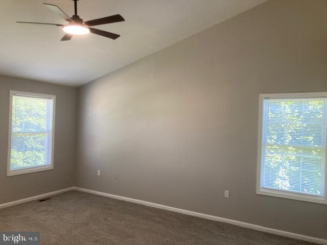 920 Burning Tree Court photo 16