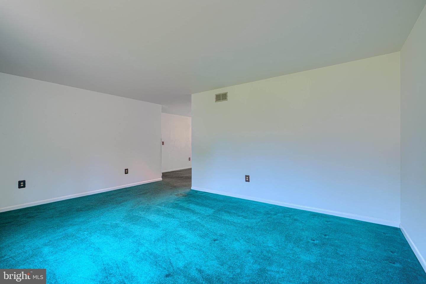 1520 Woodridge Lane photo 13
