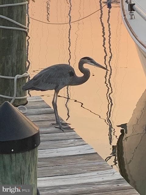 900 Marshy Cove #311 photo 36