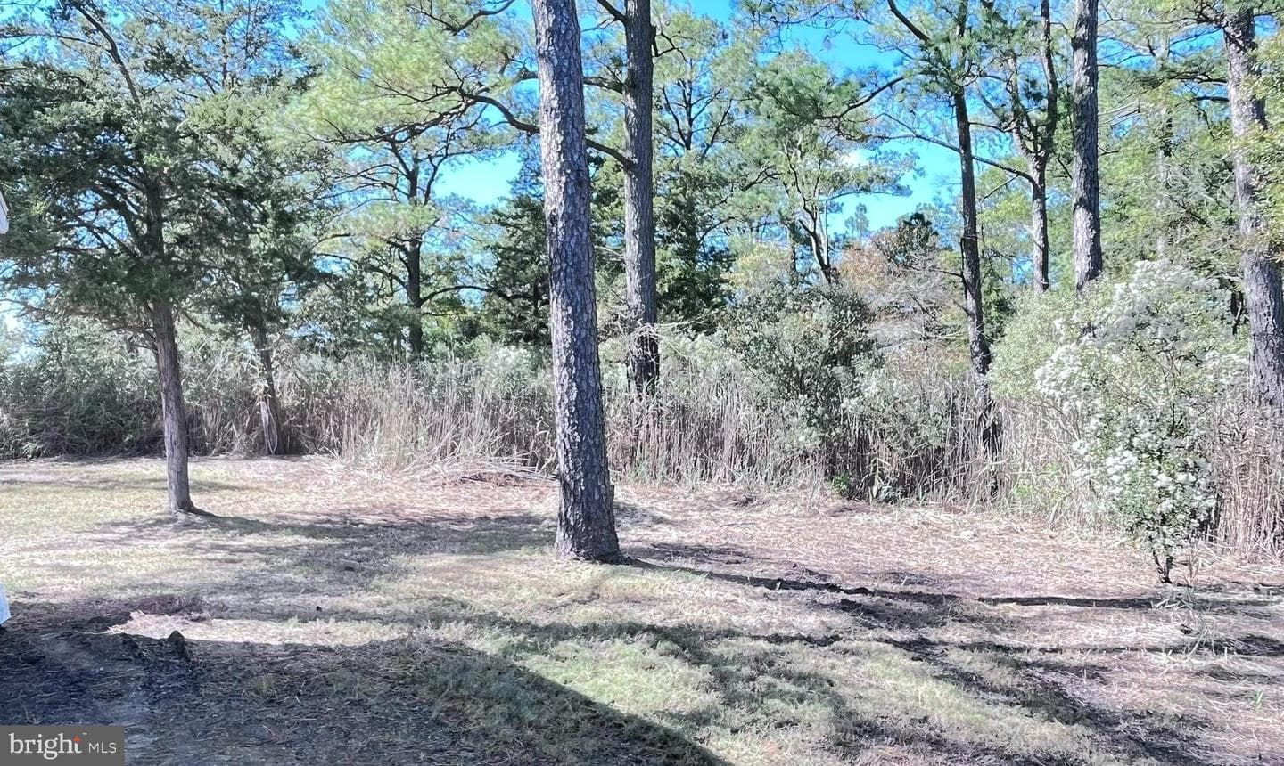 1226 S Taylors Island Road photo 18