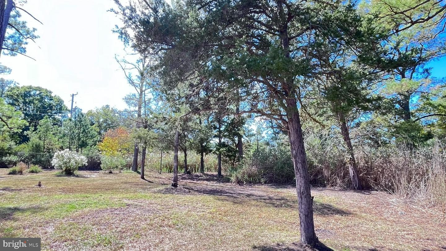 1226 S Taylors Island Road photo 19