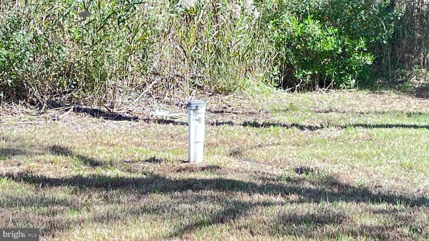 1226 S Taylors Island Road photo 21