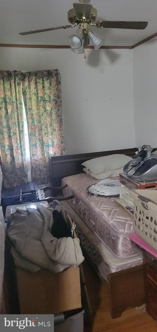 805 Robbins Street photo 4