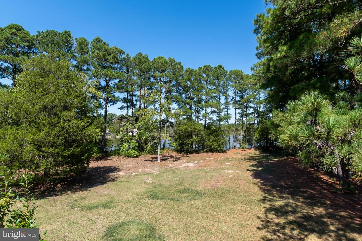 4913 Lee Terrace photo 56