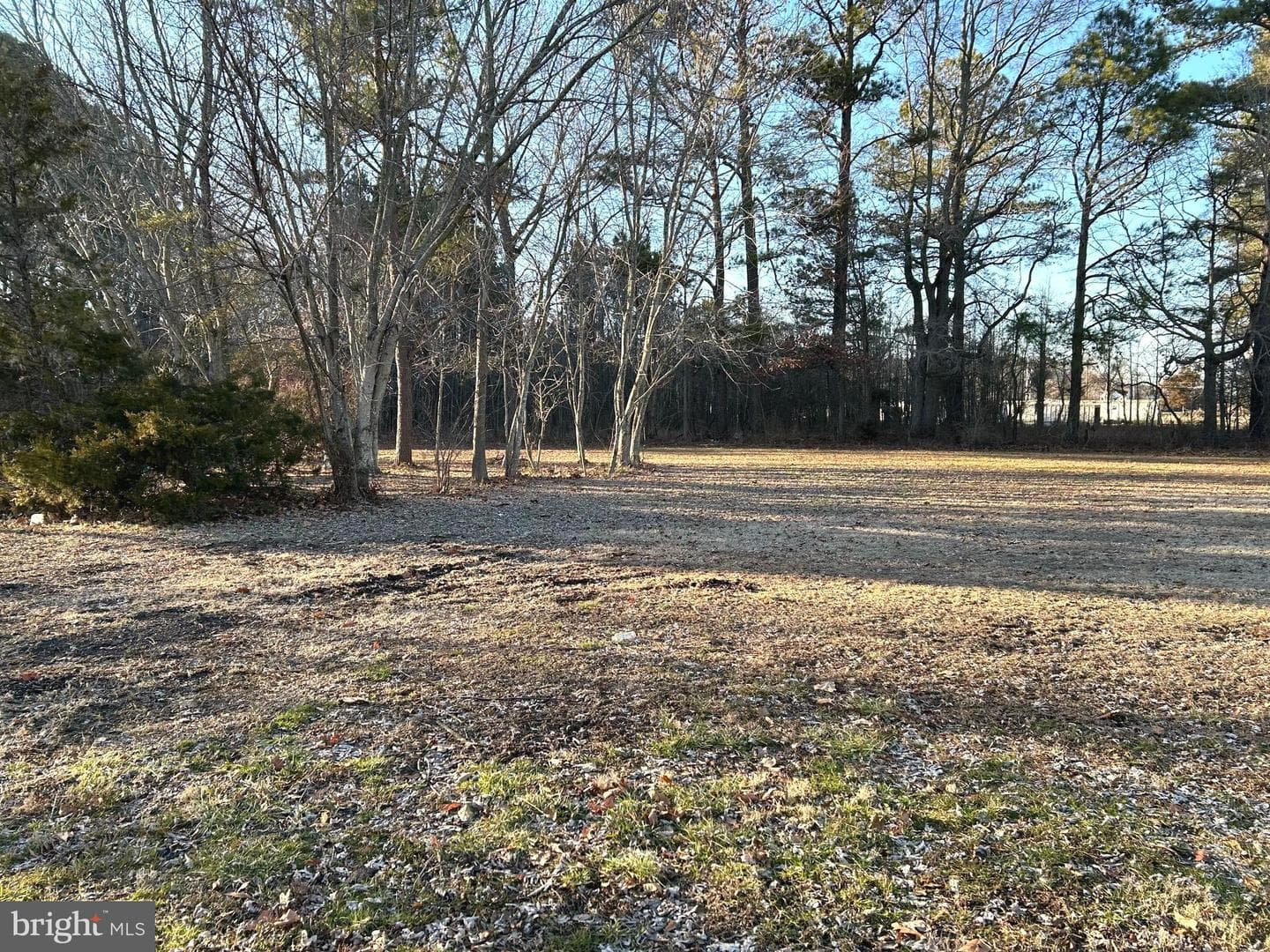 3450 Indianbone Road photo 4