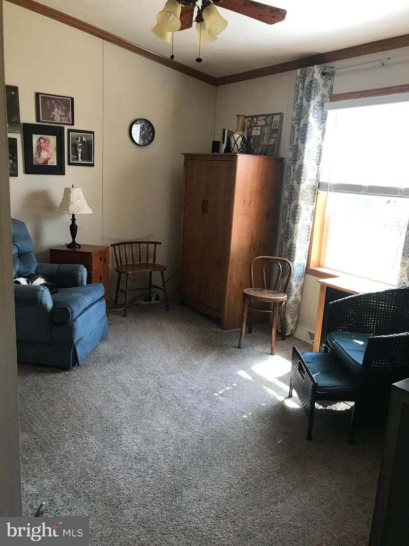 2909 Ram Road photo 10