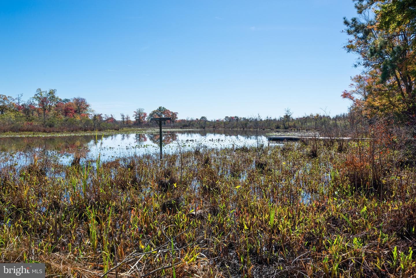 4901 Egypt Road photo 48