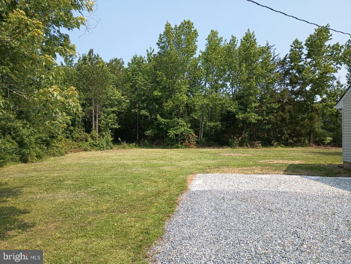 4302 Messick Road photo 15