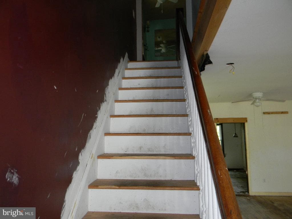 414 Willis Street photo 9