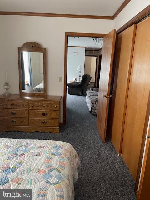 4010 Bradley Circle photo 10