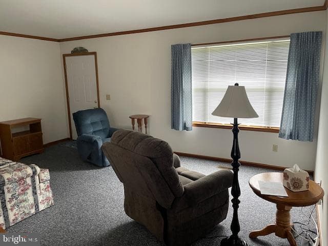 4010 Bradley Circle photo 8