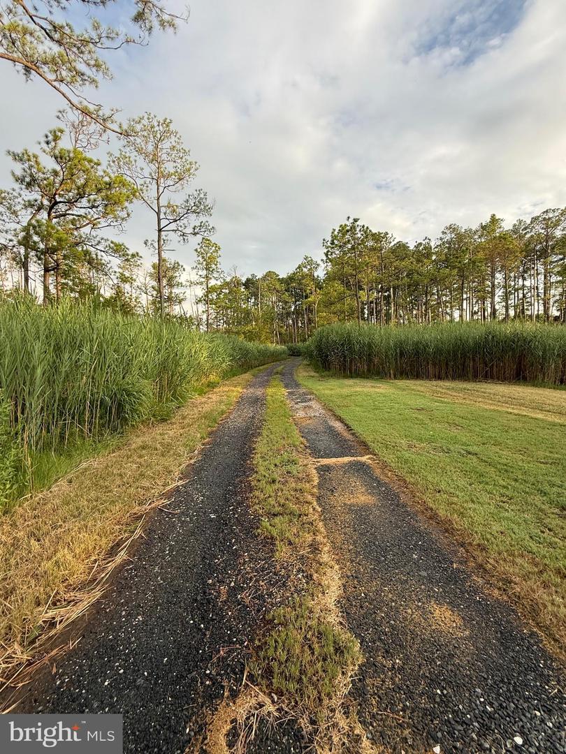 2014 Abbott Road photo 3