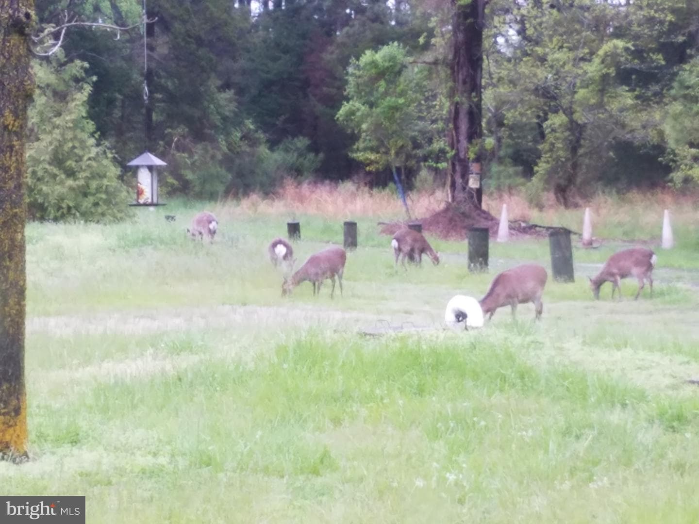 2014 Abbott Road photo 7