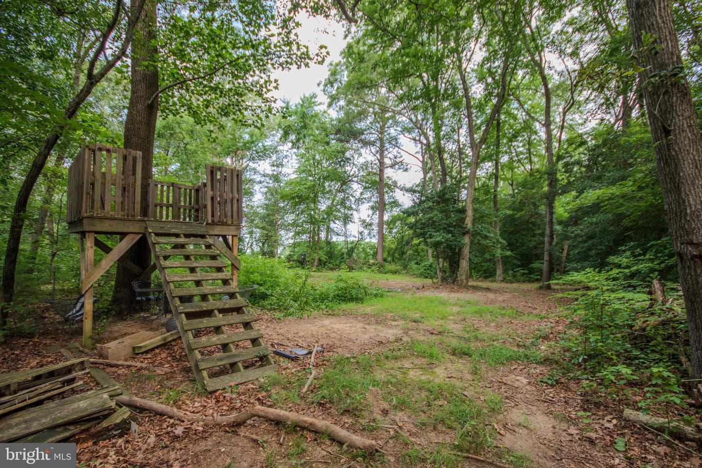 4856 Skinners Run Road photo 46