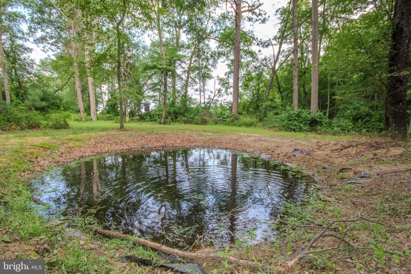 4856 Skinners Run Road photo 48
