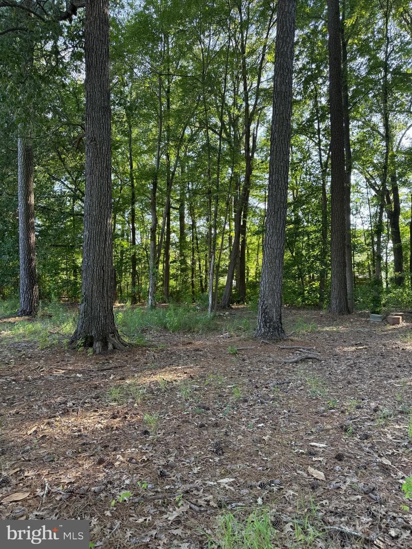 2103 Church Creek Road photo 12