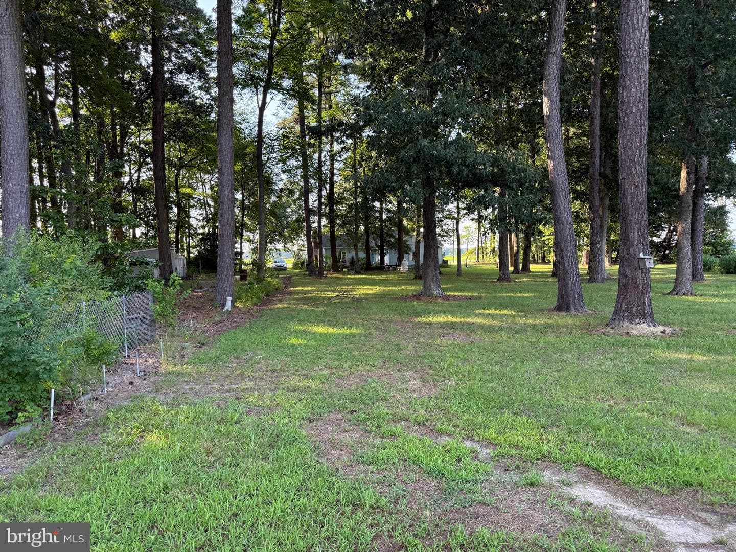 2103 Church Creek Road photo 14