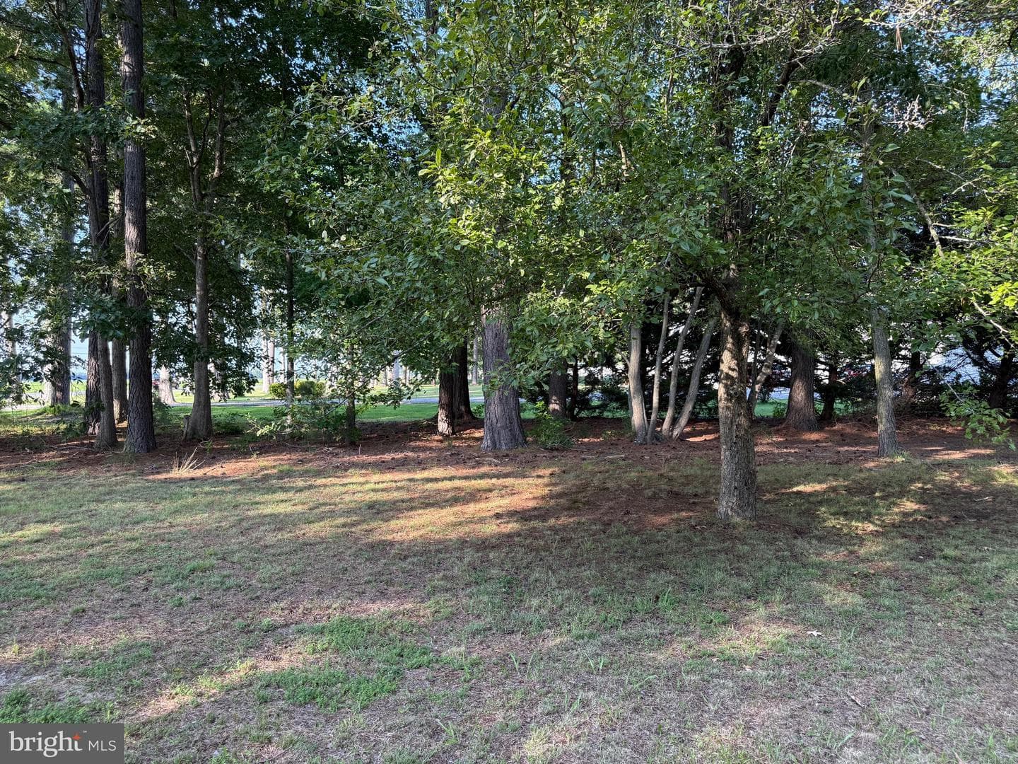2103 Church Creek Road photo 17
