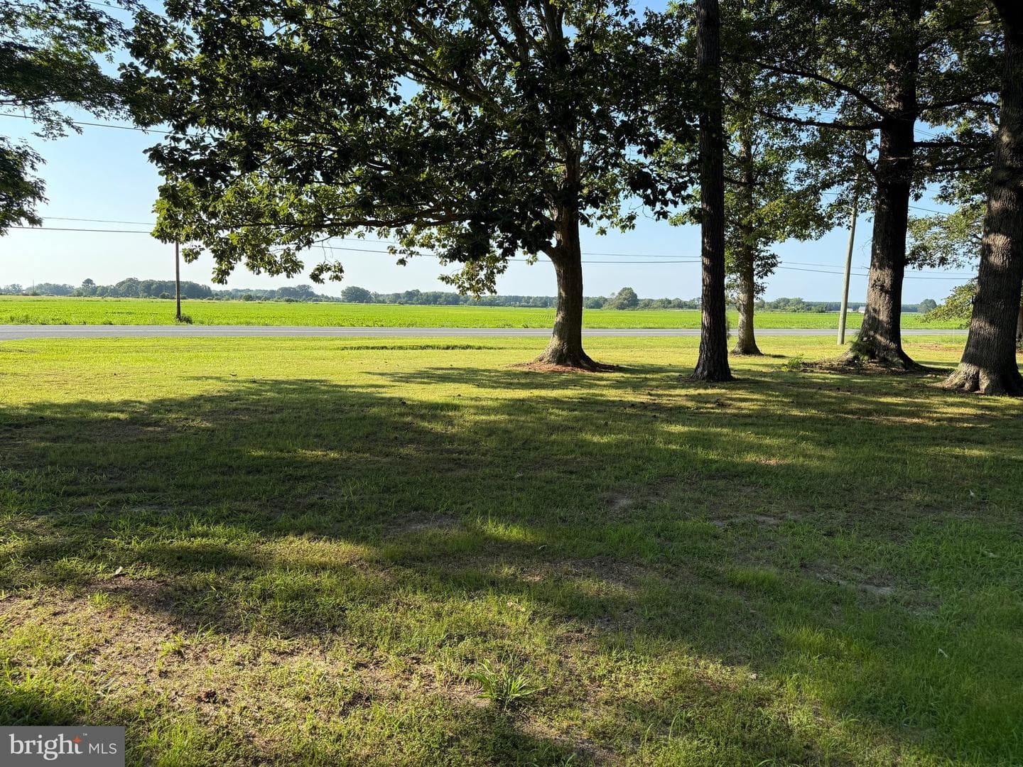 2103 Church Creek Road photo 8
