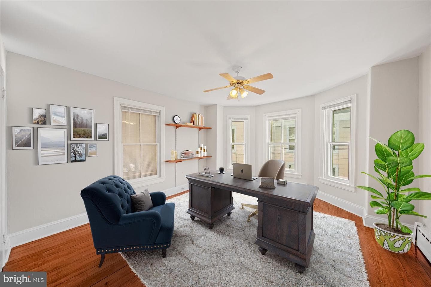 817 Locust Street photo 18