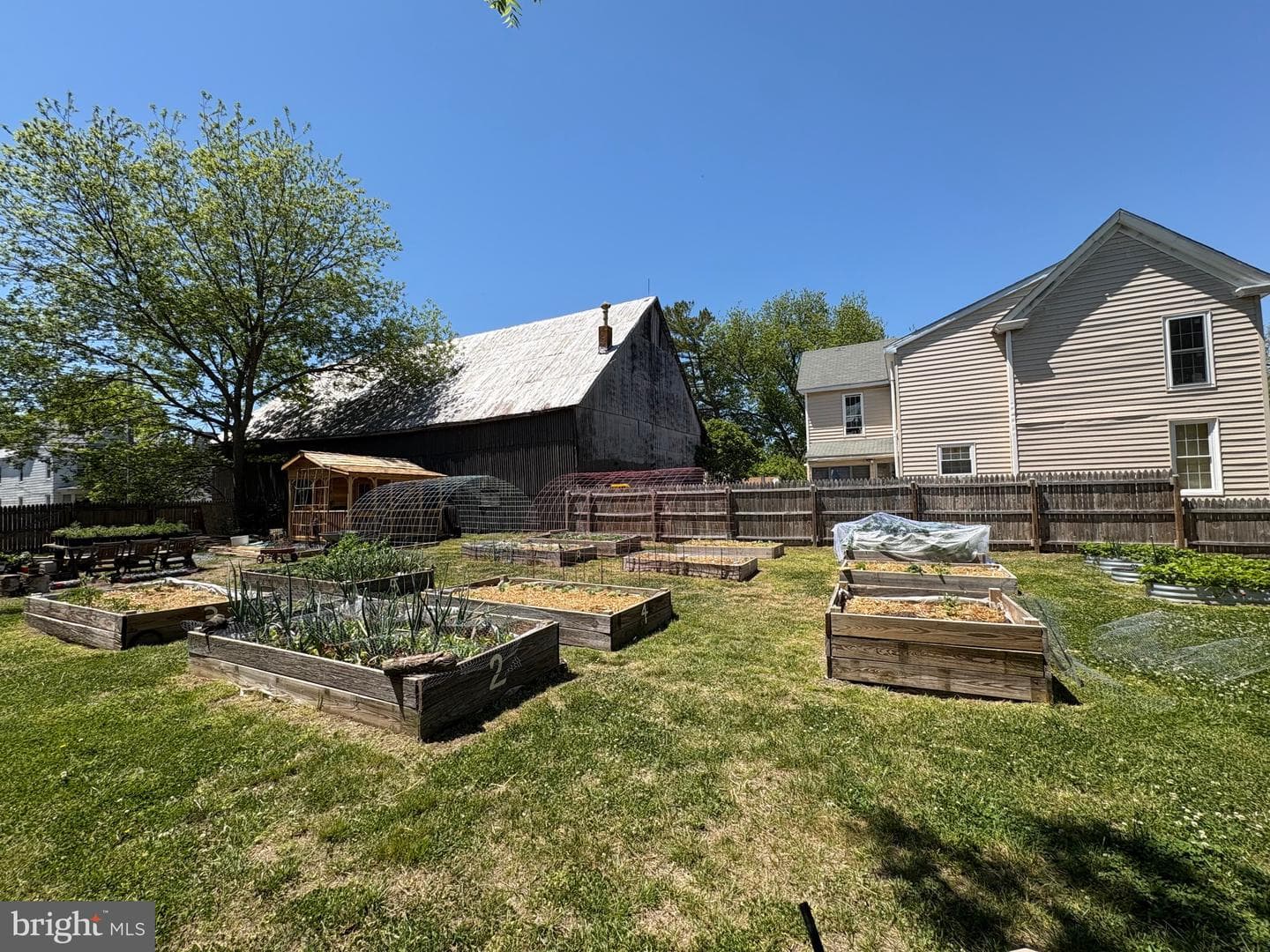 817 Locust Street photo 35