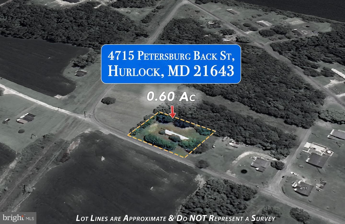 4715 Petersburg Back Street photo 12