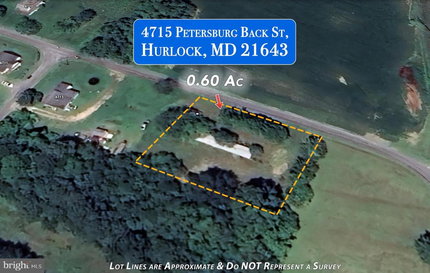 4715 Petersburg Back Street photo 14