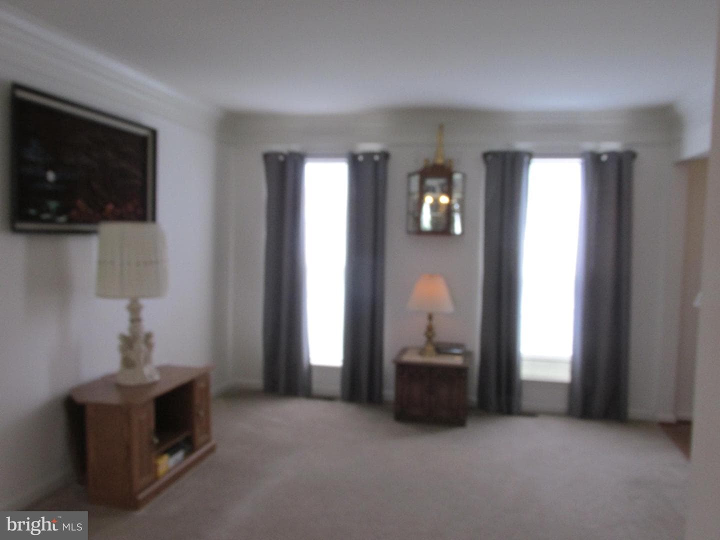 405 Osprey Circle photo 14