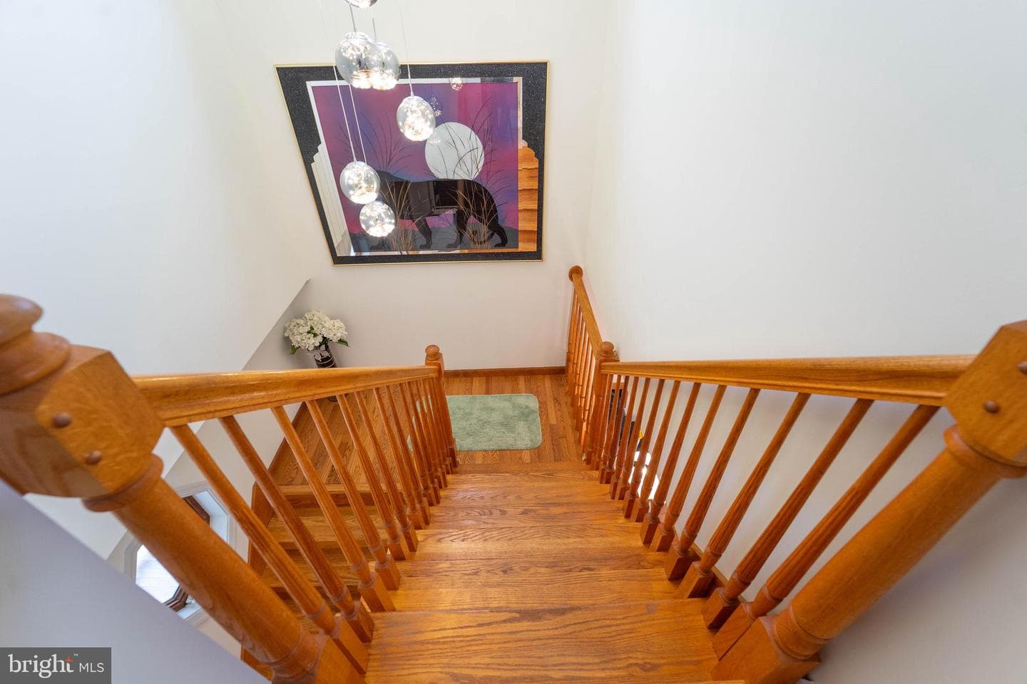 3313 Belfiore Road photo 62