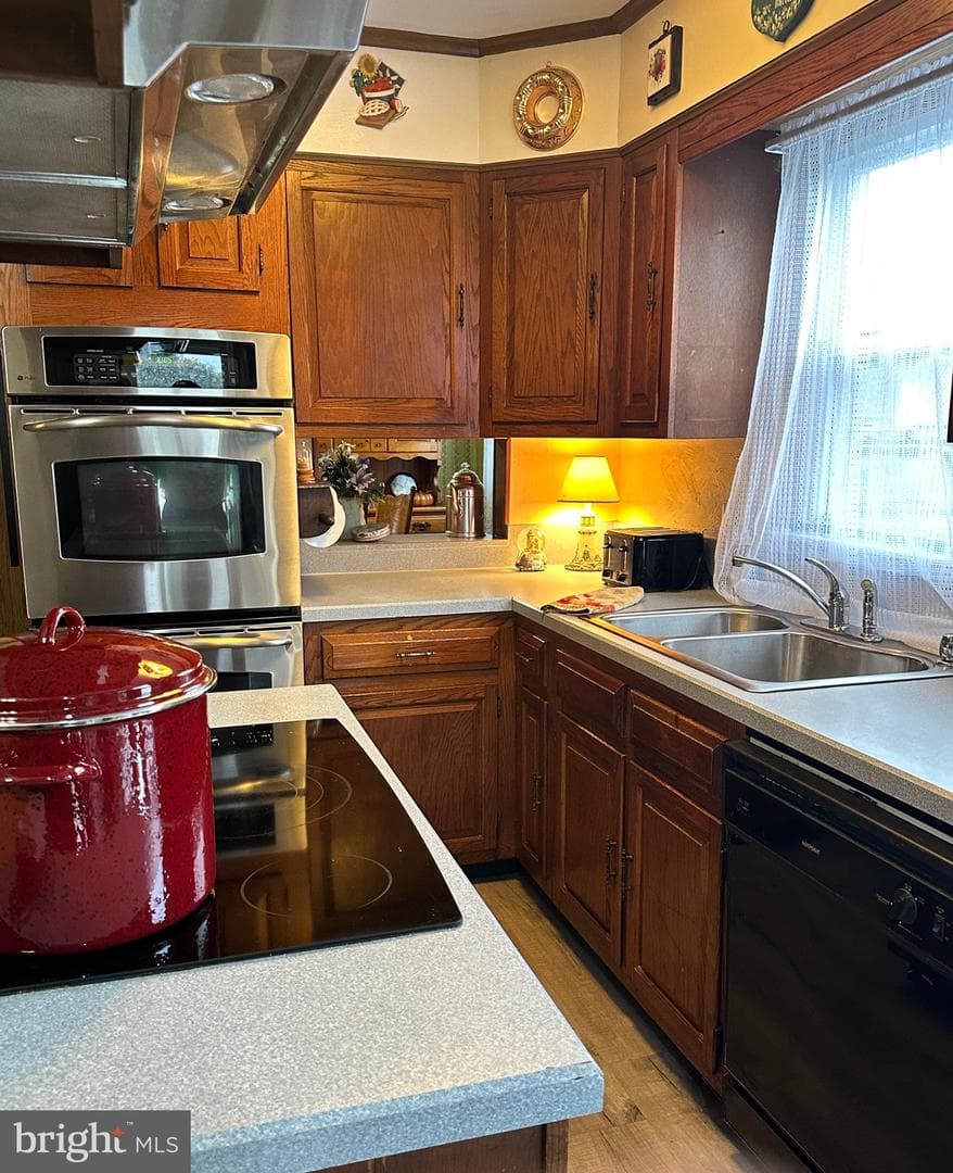 302 Nathans Avenue photo 30