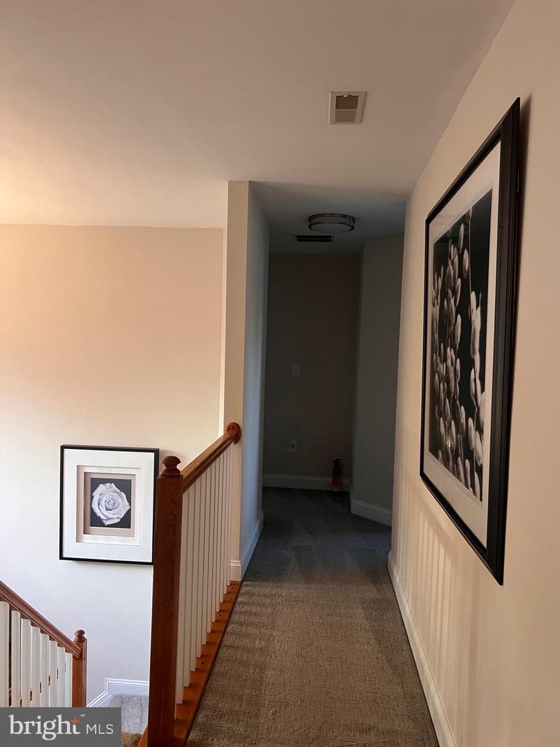 123 Teal Lane photo 47