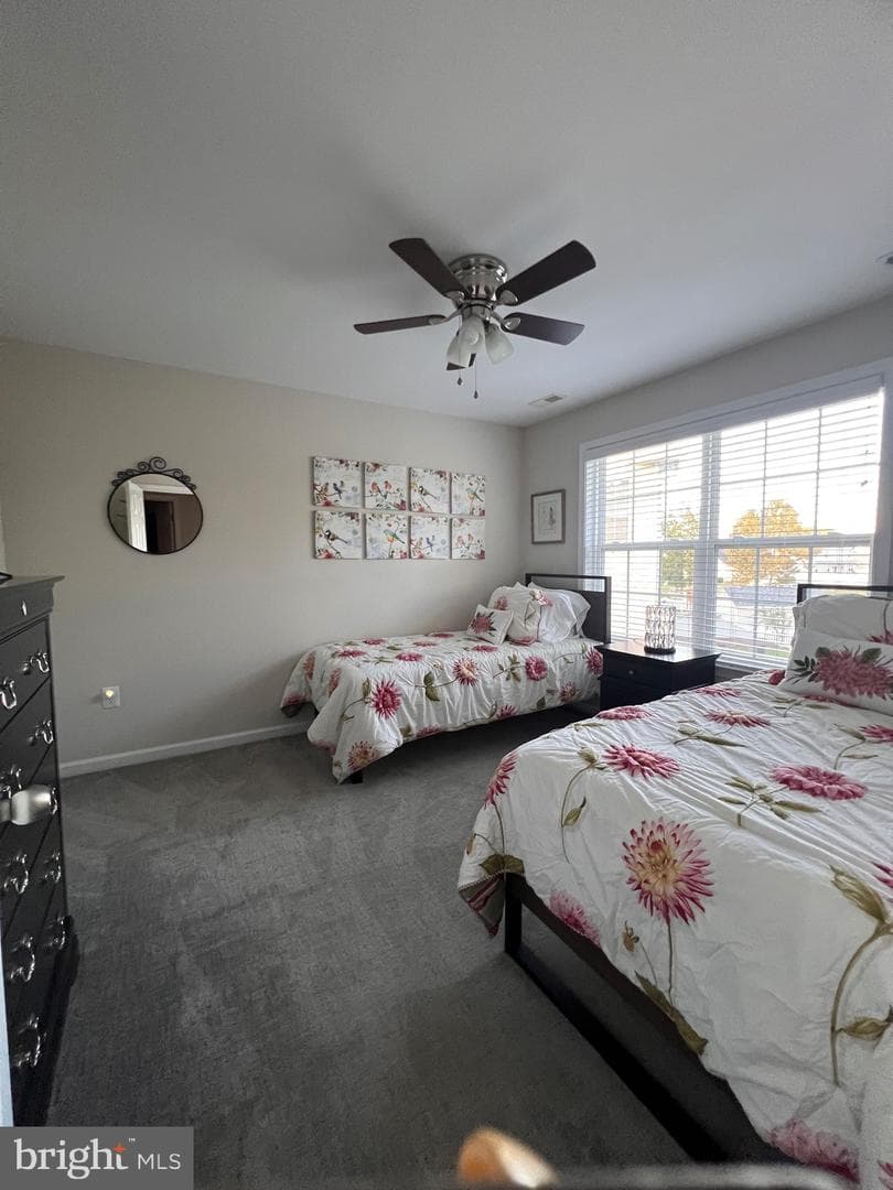 123 Teal Lane photo 49