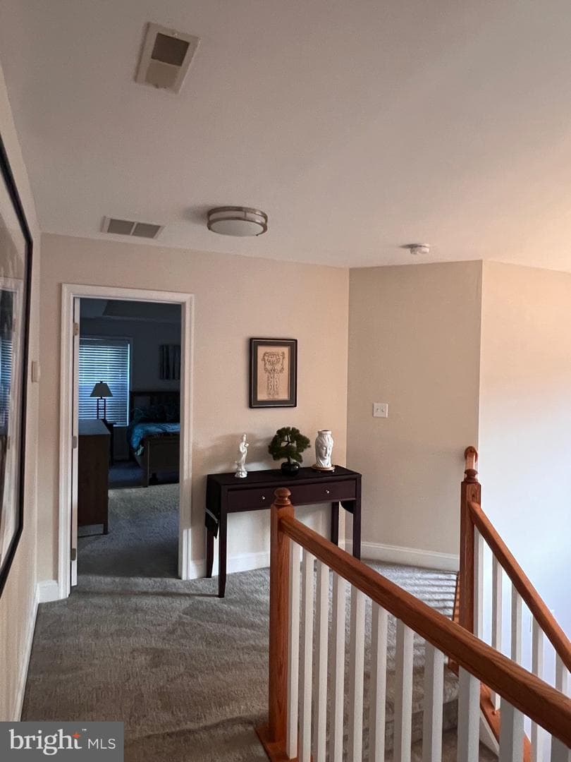 123 Teal Lane photo 53