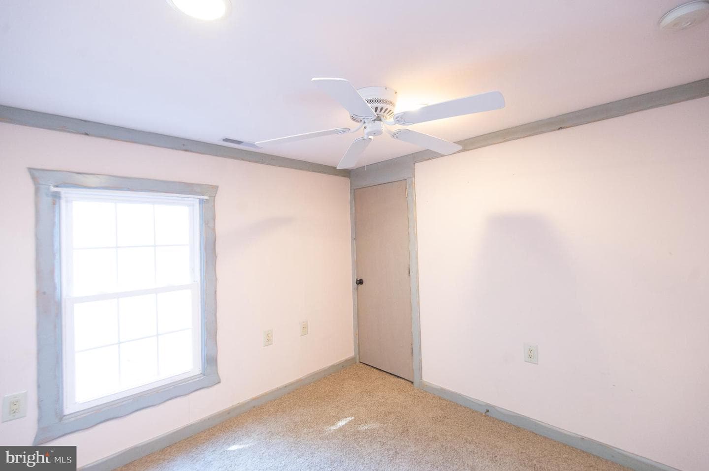 102 Hayward photo 19