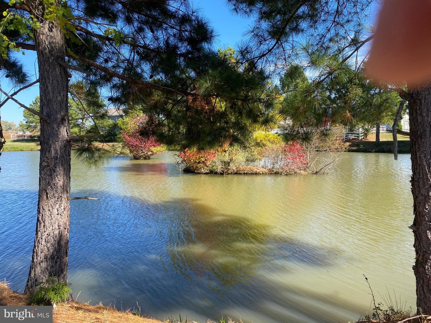 1606 Osprey Circle photo 16