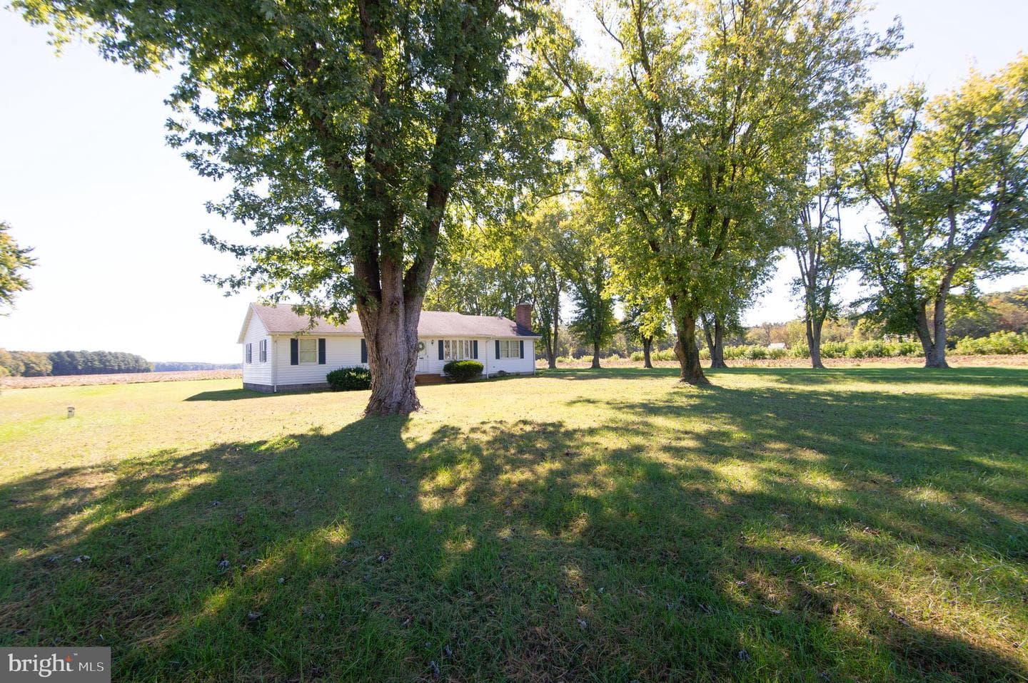 5517 Mount Holly Road photo 13