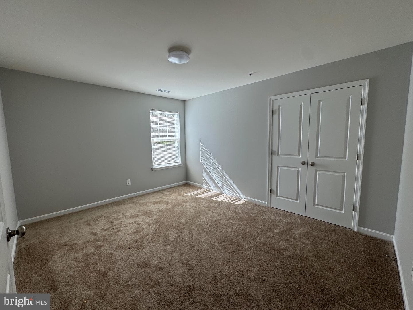 101 Albemarle Court photo 26