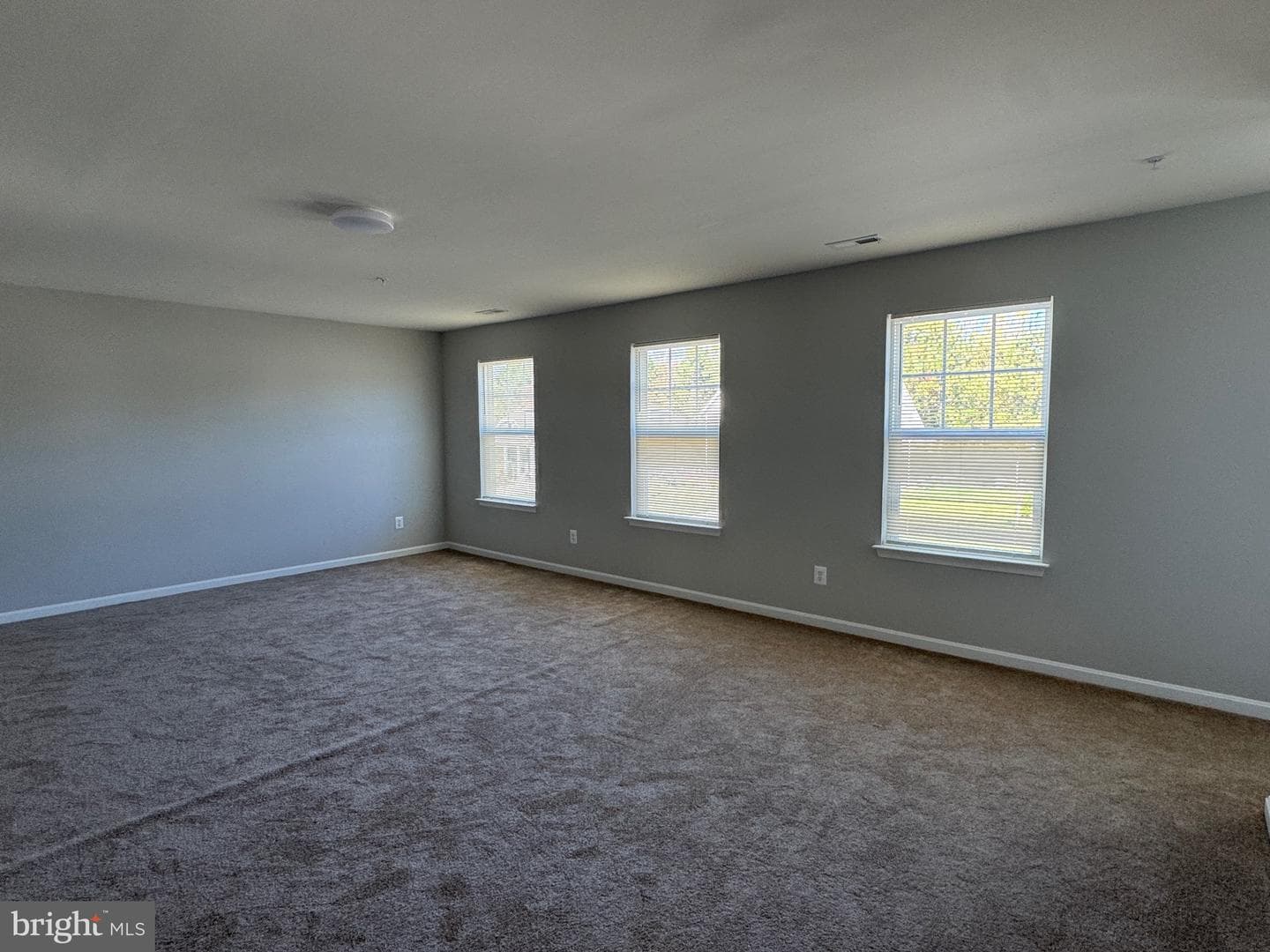 101 Albemarle Court photo 43