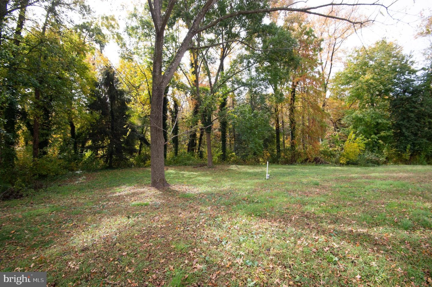 6532 Pine Top Road photo 20
