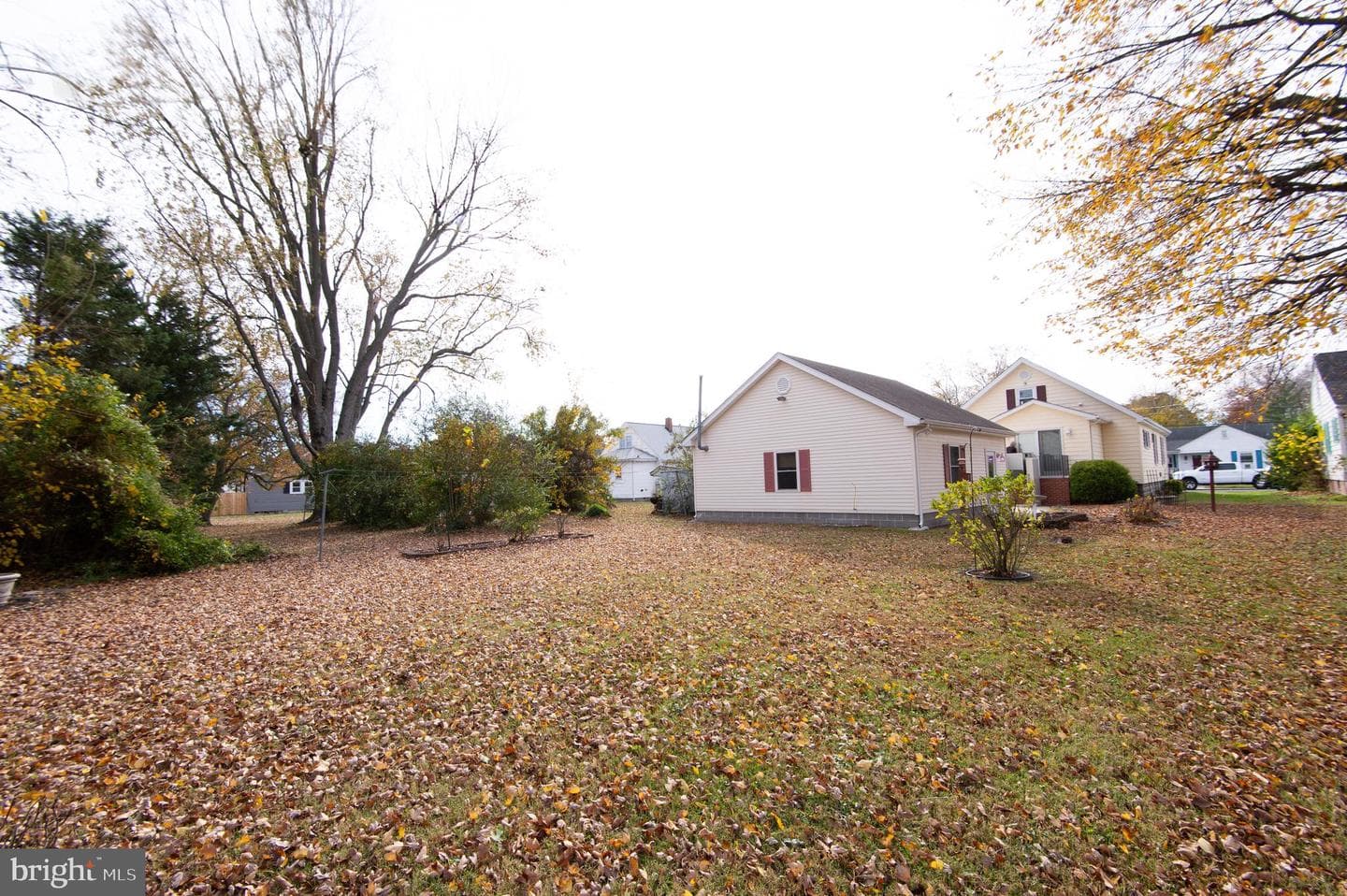 409 Bayly Avenue photo 8