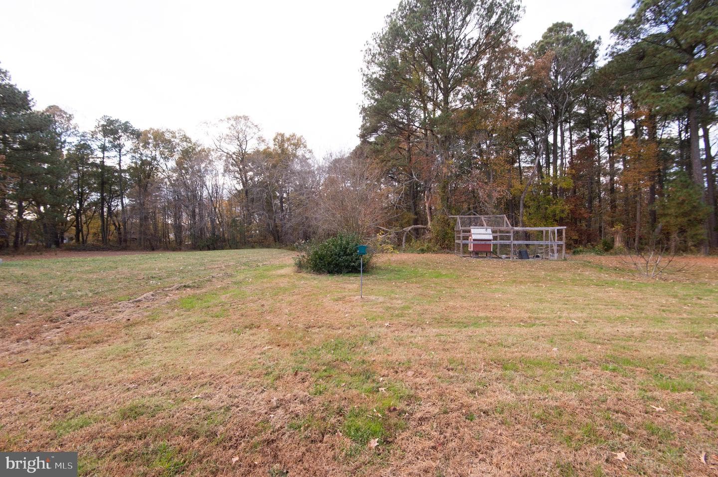 6010 Todds Point Road photo 49