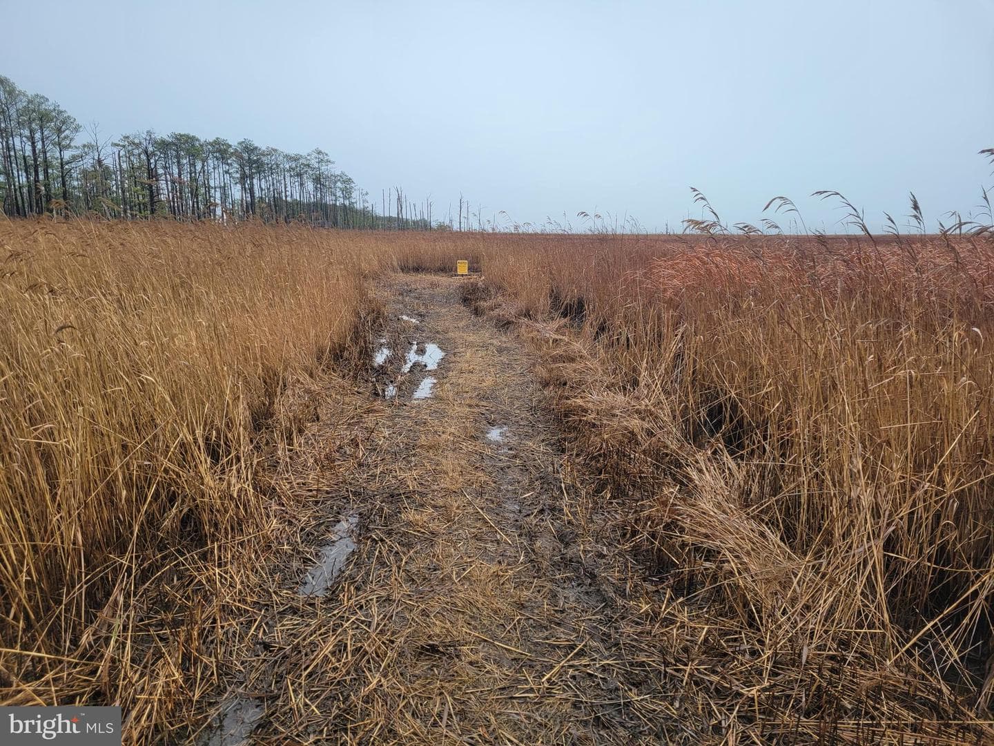 3241 Robbins Road photo 14