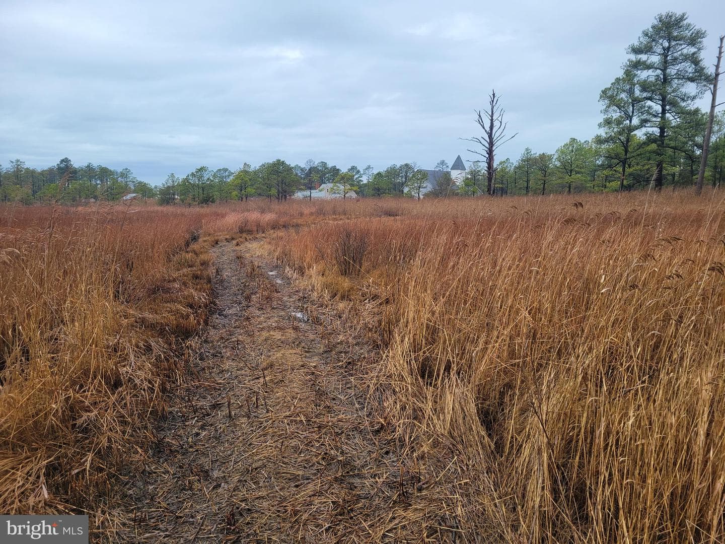 3241 Robbins Road photo 15