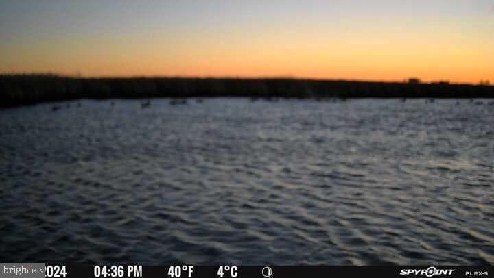 3241 Robbins Road photo 40