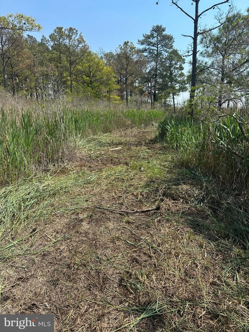 3241 Robbins Road photo 43