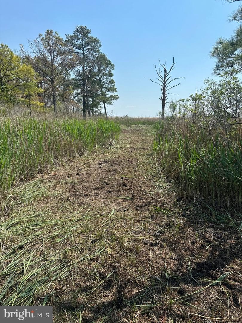 3241 Robbins Road photo 44